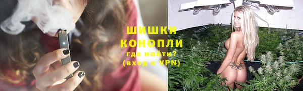 бошки Бородино