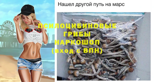 бошки Бородино