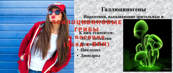 СК Бугульма