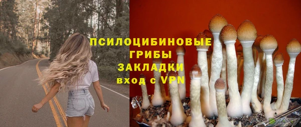 бошки Бородино