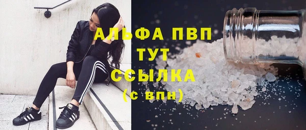 бошки Бородино