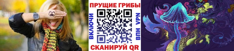 shop телеграм  Коммунар  Галлюциногенные грибы Cubensis 